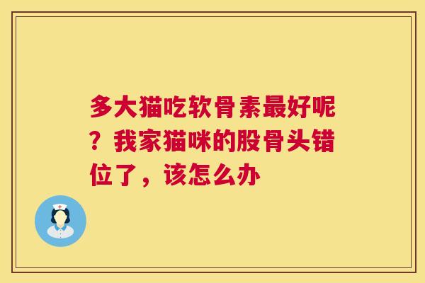 多大猫吃软骨素最好呢？我家猫咪的股骨头错位了，该怎么办