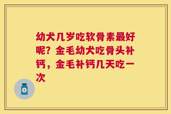 幼犬几岁吃软骨素最好呢？金毛幼犬吃骨头补钙，金毛补钙几天吃一次
