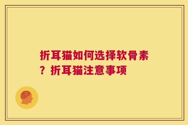 折耳猫如何选择软骨素？折耳猫注意事项