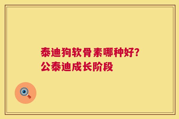 泰迪狗软骨素哪种好？公泰迪成长阶段