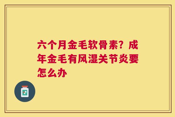 六个月金毛软骨素？成年金毛有风湿关节炎要怎么办