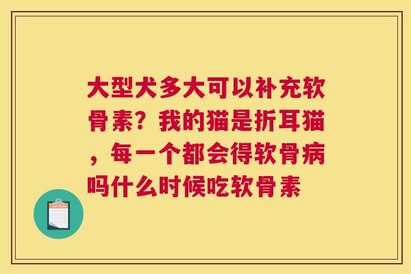 大型犬多大可以补充软骨素？我的猫是折耳猫，每一个都会得软骨病吗什么时候吃软骨素