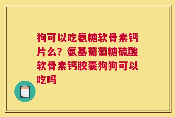狗可以吃氨糖软骨素钙片么？氨基葡萄糖硫酸软骨素钙胶囊狗狗可以吃吗