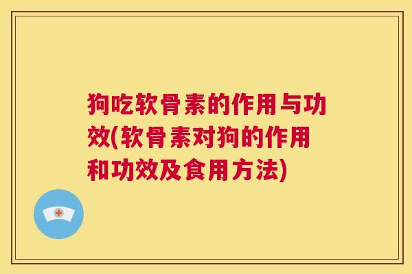 狗吃软骨素的作用与功效(软骨素对狗的作用和功效及食用方法)