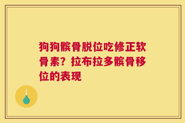 狗狗髌骨脱位吃修正软骨素？拉布拉多髌骨移位的表现