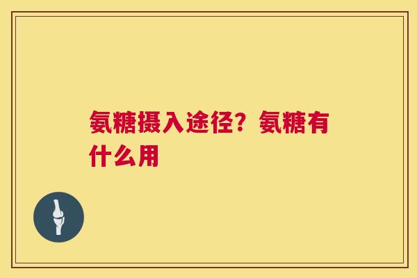 氨糖摄入途径？氨糖有什么用