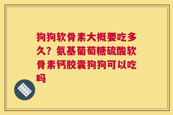 狗狗软骨素大概要吃多久？氨基葡萄糖硫酸软骨素钙胶囊狗狗可以吃吗