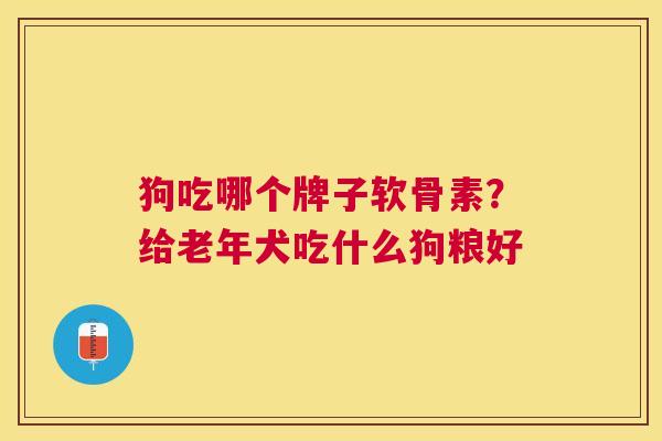 狗吃哪个牌子软骨素？给老年犬吃什么狗粮好