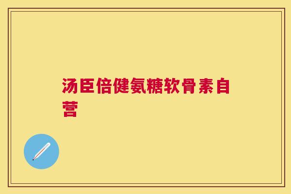 汤臣倍健氨糖软骨素自营
