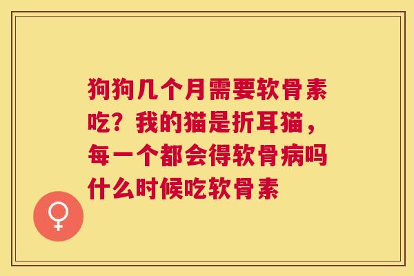 狗狗几个月需要软骨素吃?我的猫是折耳猫,每一个都会得软骨病吗什么时候吃软骨素