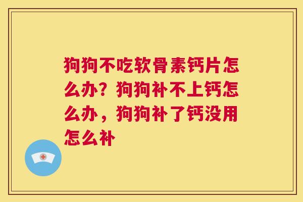 狗狗不吃软骨素钙片怎么办？狗狗补不上钙怎么办，狗狗补了钙没用怎么补