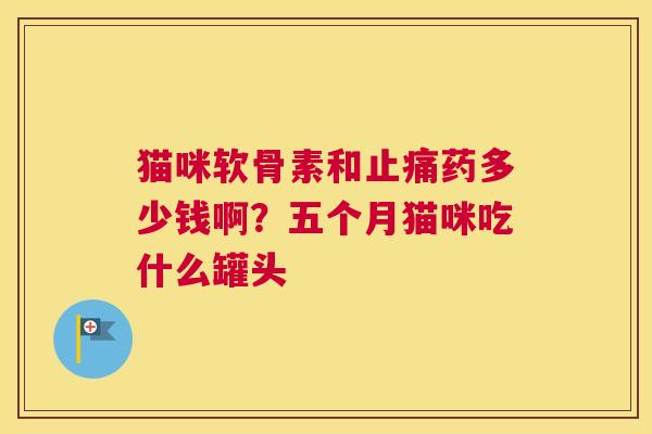 猫咪软骨素和止痛药多少钱啊？五个月猫咪吃什么罐头