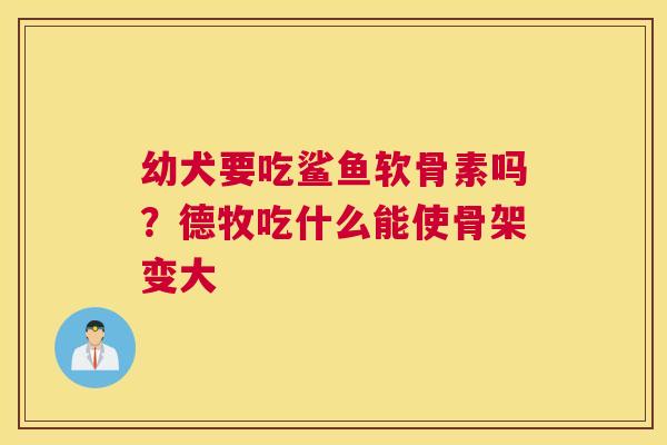 幼犬要吃鲨鱼软骨素吗？德牧吃什么能使骨架变大