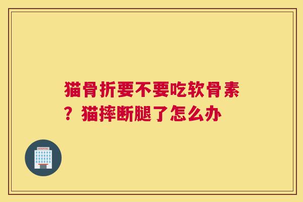 猫骨折要不要吃软骨素？猫摔断腿了怎么办