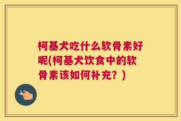 柯基犬吃什么软骨素好呢(柯基犬饮食中的软骨素该如何补充？)