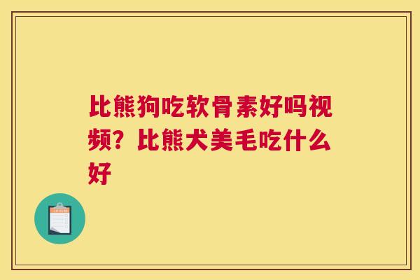 比熊狗吃软骨素好吗视频？比熊犬美毛吃什么好