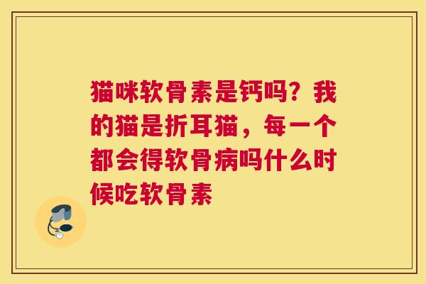 猫咪软骨素是钙吗？我的猫是折耳猫，每一个都会得软骨病吗什么时候吃软骨素