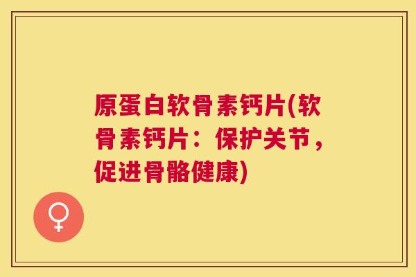 原蛋白软骨素钙片(软骨素钙片：保护关节，促进骨骼健康)
