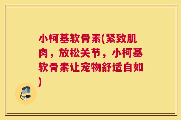 小柯基软骨素(紧致肌肉，放松关节，小柯基软骨素让宠物舒适自如)