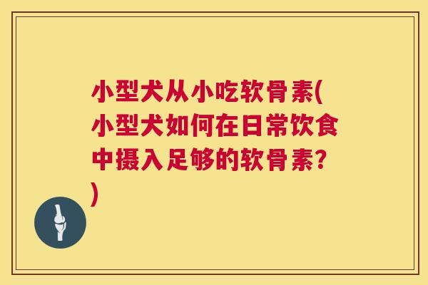 小型犬从小吃软骨素(小型犬如何在日常饮食中摄入足够的软骨素？)