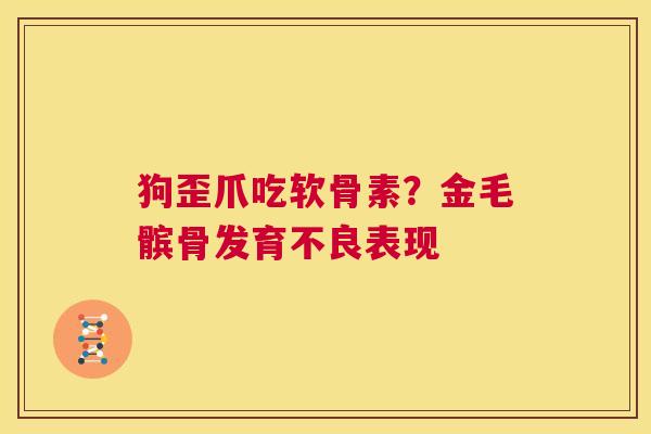 狗歪爪吃软骨素？金毛髌骨发育不良表现