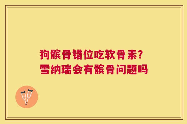 狗髌骨错位吃软骨素？雪纳瑞会有髌骨问题吗