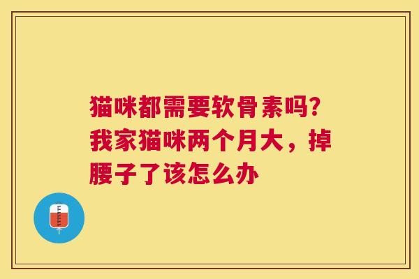 猫咪都需要软骨素吗？我家猫咪两个月大，掉腰子了该怎么办