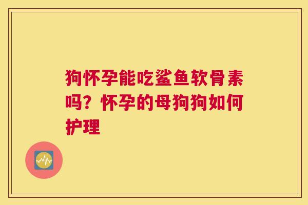 狗怀孕能吃鲨鱼软骨素吗？怀孕的母狗狗如何护理