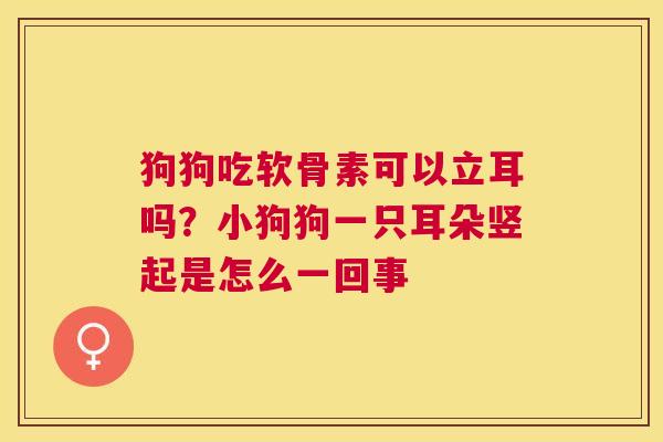 狗狗吃软骨素可以立耳吗？小狗狗一只耳朵竖起是怎么一回事