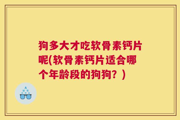 狗多大才吃软骨素钙片呢(软骨素钙片适合哪个年龄段的狗狗？)