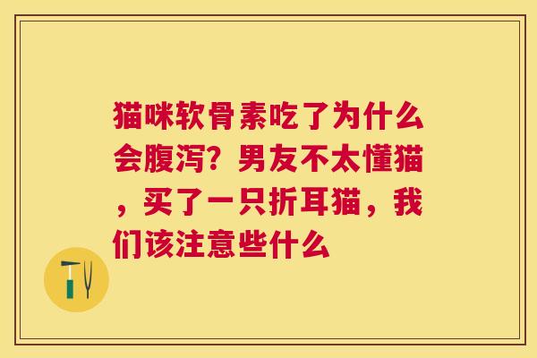 猫咪软骨素吃了为什么会腹泻？男友不太懂猫，买了一只折耳猫，我们该注意些什么