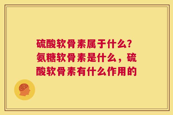 硫酸软骨素属于什么？氨糖软骨素是什么，硫酸软骨素有什么作用的