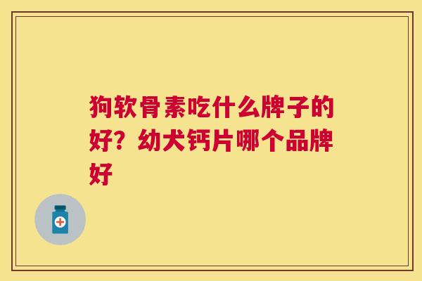 狗软骨素吃什么牌子的好？幼犬钙片哪个品牌好