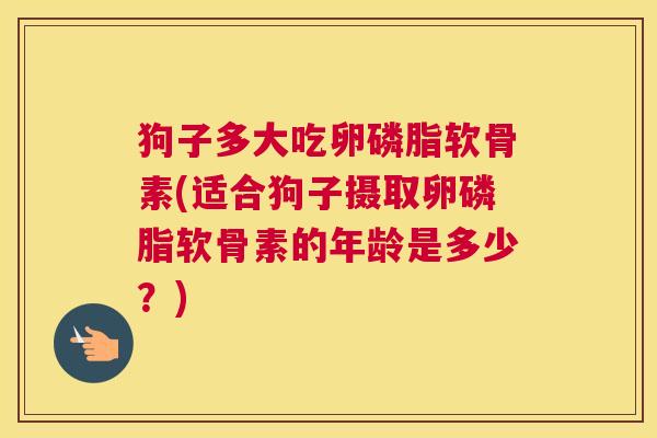 狗子多大吃卵磷脂软骨素(适合狗子摄取卵磷脂软骨素的年龄是多少？)