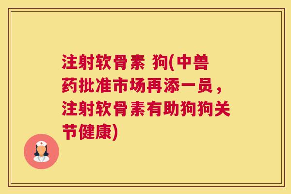 注射软骨素 狗(中兽药批准市场再添一员，注射软骨素有助狗狗关节健康)