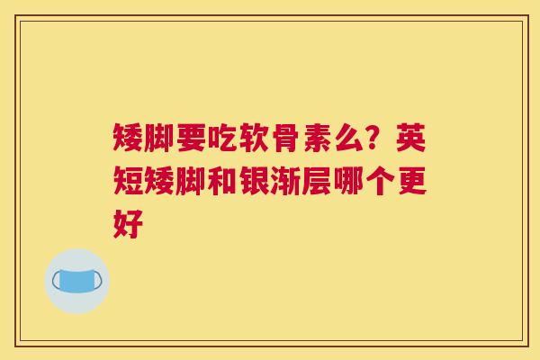 矮脚要吃软骨素么？英短矮脚和银渐层哪个更好