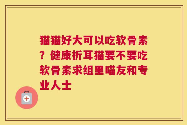 猫猫好大可以吃软骨素？健康折耳猫要不要吃软骨素求组里喵友和专业人士