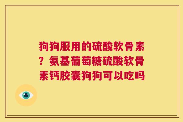狗狗服用的硫酸软骨素？氨基葡萄糖硫酸软骨素钙胶囊狗狗可以吃吗