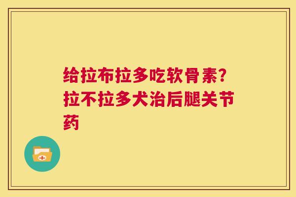 给拉布拉多吃软骨素？拉不拉多犬治后腿关节药