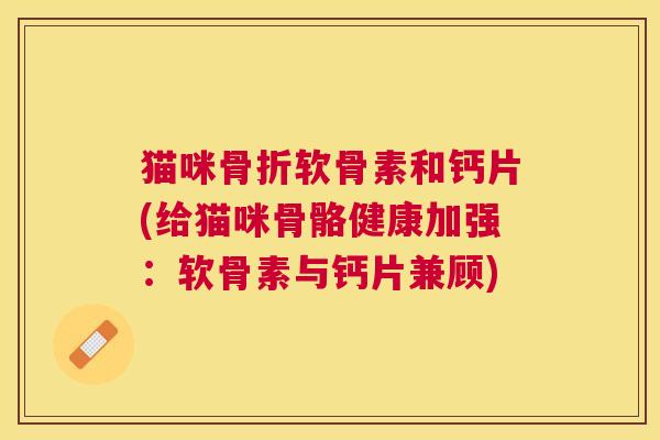 猫咪骨折软骨素和钙片(给猫咪骨骼健康加强：软骨素与钙片兼顾)