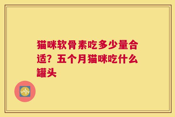 猫咪软骨素吃多少量合适？五个月猫咪吃什么罐头