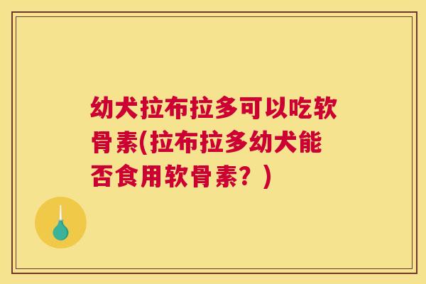 幼犬拉布拉多可以吃软骨素(拉布拉多幼犬能否食用软骨素？)