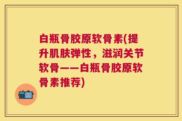 白瓶骨胶原软骨素(提升肌肤弹性，滋润关节软骨——白瓶骨胶原软骨素推荐)