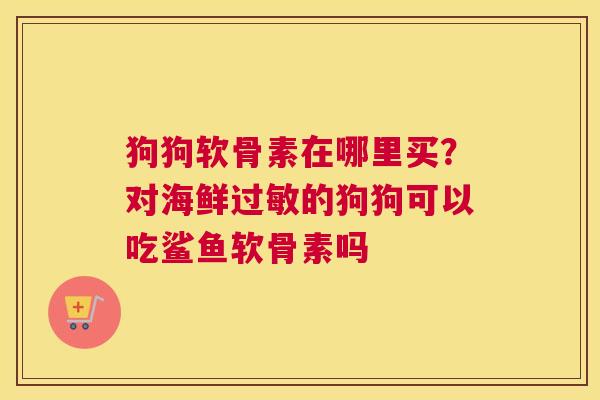 狗狗软骨素在哪里买？对海鲜过敏的狗狗可以吃鲨鱼软骨素吗