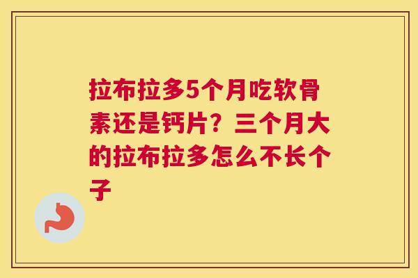 拉布拉多5个月吃软骨素还是钙片？三个月大的拉布拉多怎么不长个子