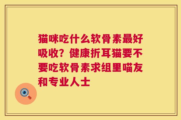 猫咪吃什么软骨素最好吸收？健康折耳猫要不要吃软骨素求组里喵友和专业人士