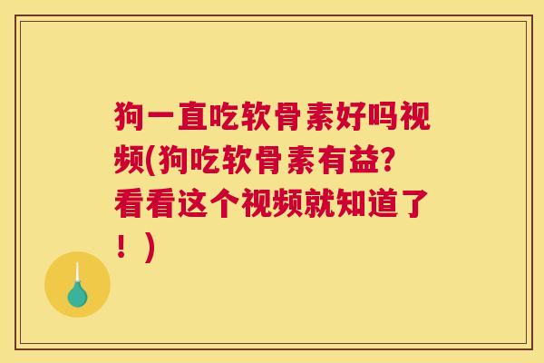 狗一直吃软骨素好吗视频(狗吃软骨素有益？看看这个视频就知道了！)