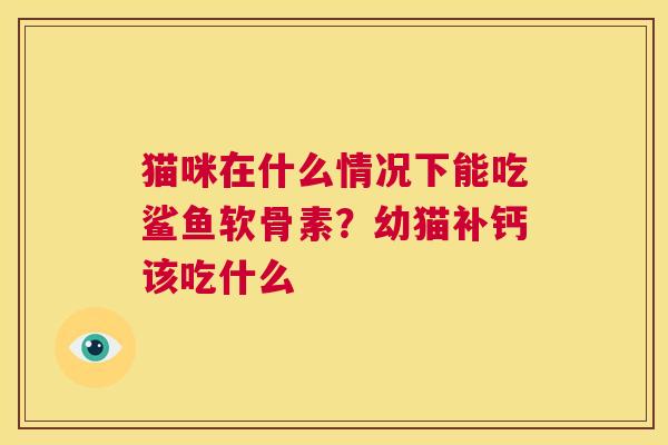 猫咪在什么情况下能吃鲨鱼软骨素？幼猫补钙该吃什么