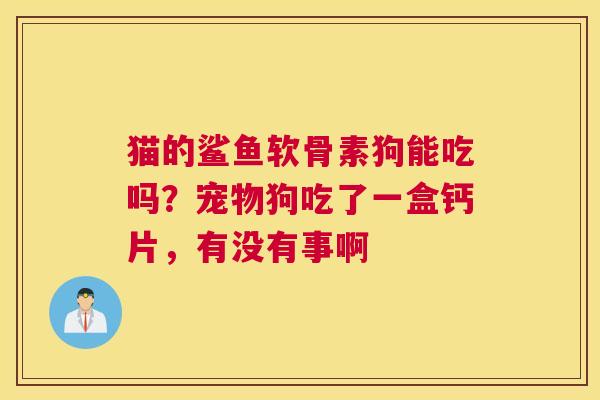 猫的鲨鱼软骨素狗能吃吗？宠物狗吃了一盒钙片，有没有事啊