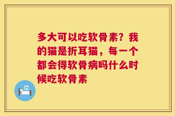 多大可以吃软骨素？我的猫是折耳猫，每一个都会得软骨病吗什么时候吃软骨素